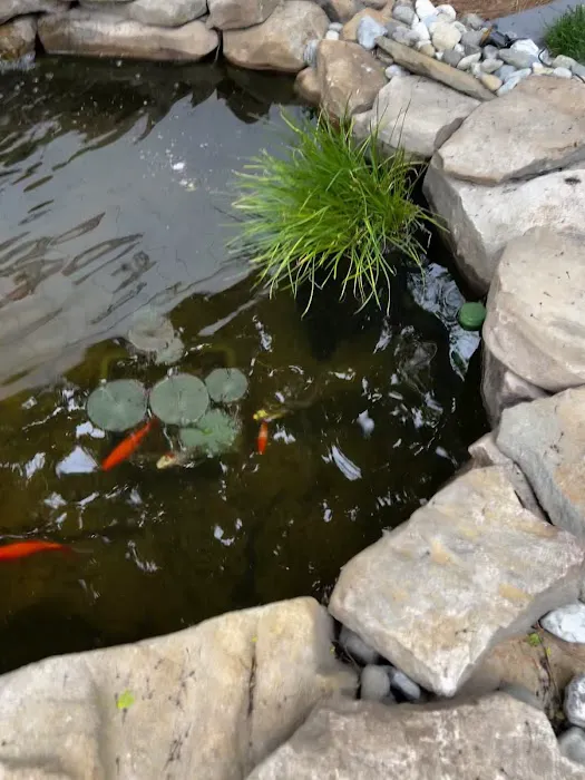 Golden Dragon Gardens Picture 3