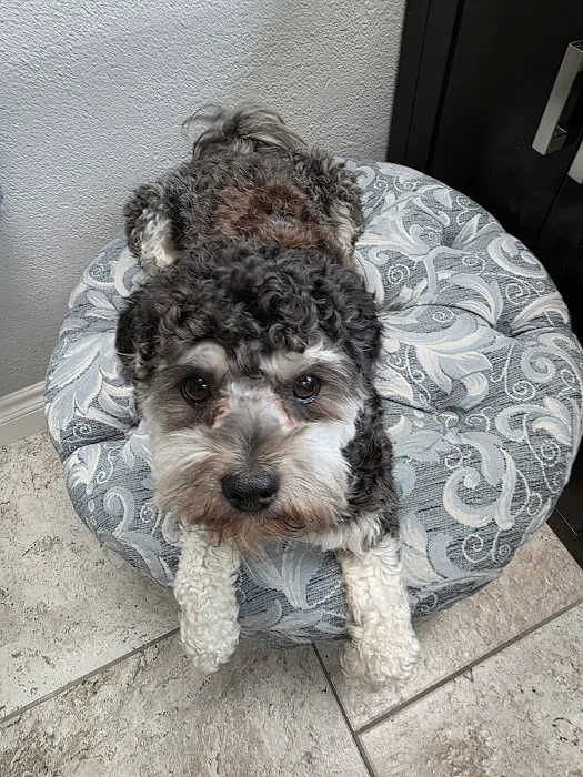 Huntington Pet Vet Picture 8