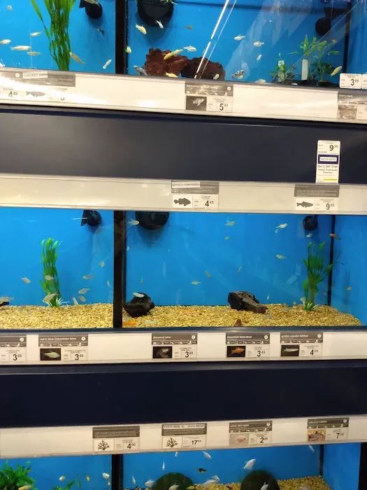 Petco Picture 5
