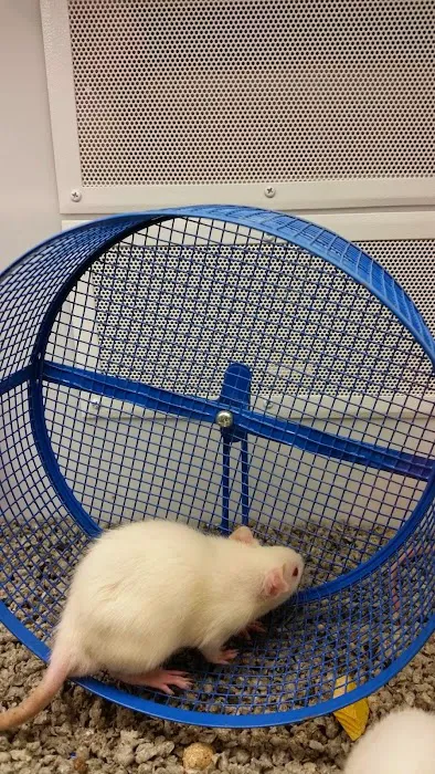 Petco Picture 10