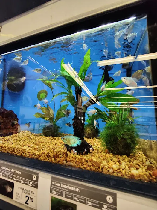 Petco Picture 4