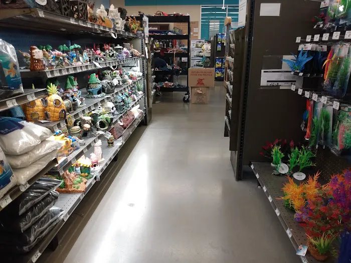 Petco Picture 3