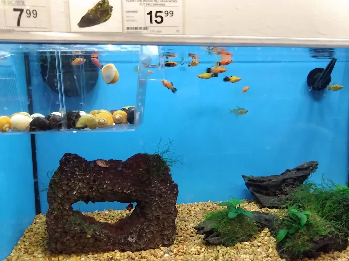 Petco Picture 7