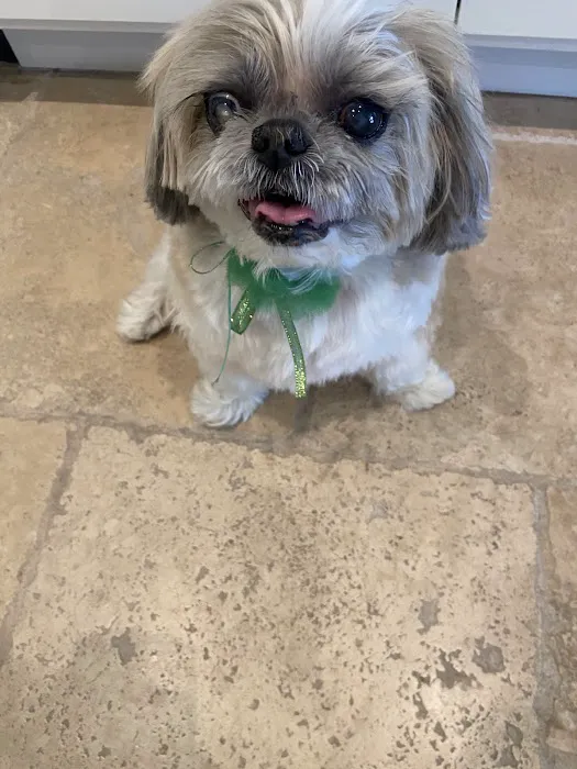 Banfield Pet Hospital Picture 8