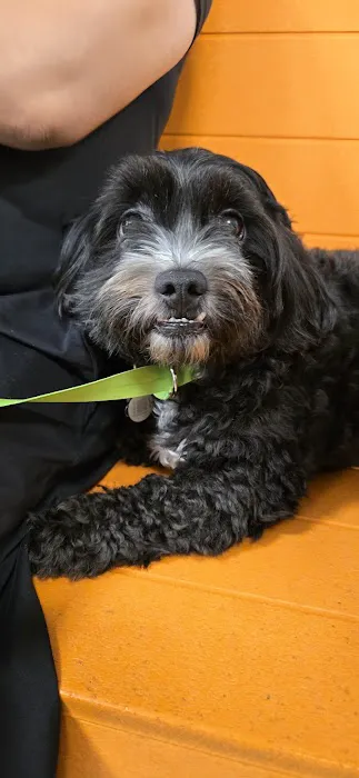 Banfield Pet Hospital Picture 1