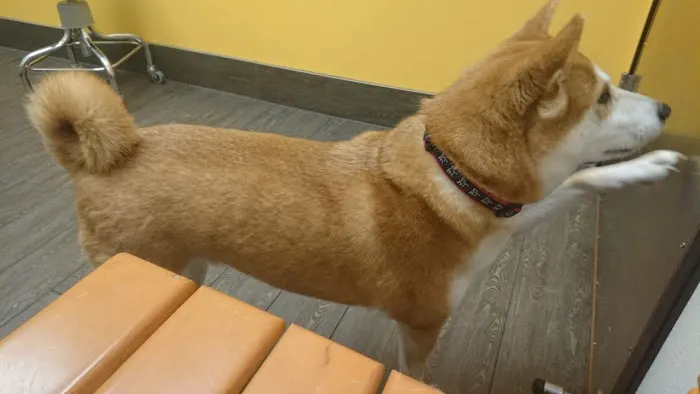 Banfield Pet Hospital Picture 3