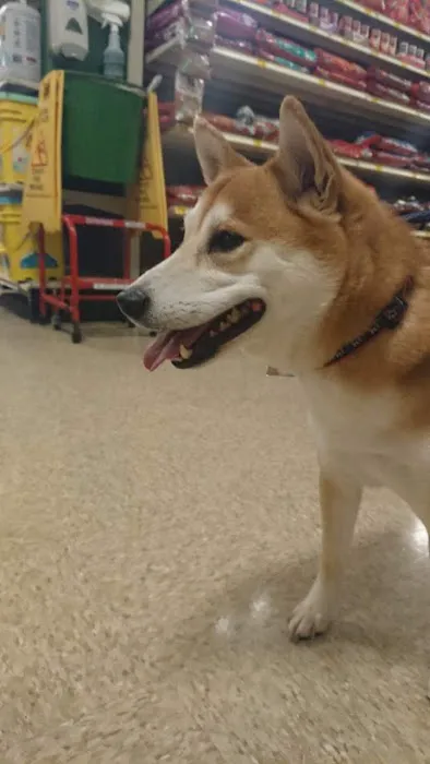 Banfield Pet Hospital Picture 4