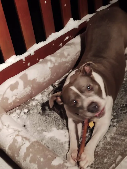 VCA Orange County Veterinary Specialists Picture 10