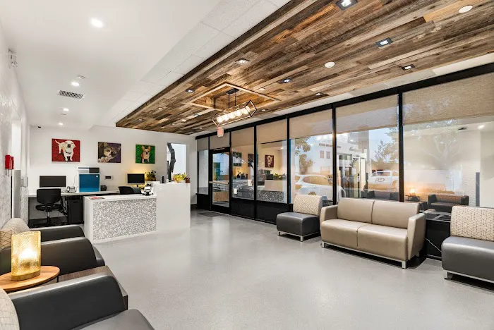 VCA Orange County Veterinary Specialists Picture 1