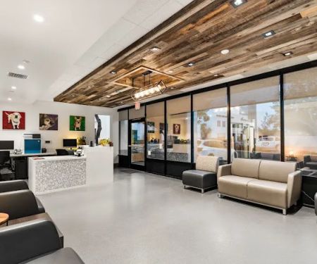 VCA Orange County Veterinary Specialists