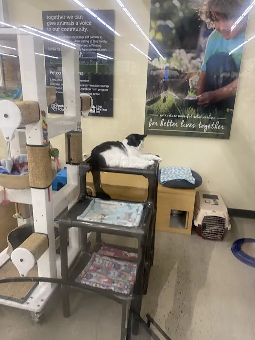 Vetco Total Care Animal Hospital Picture 3