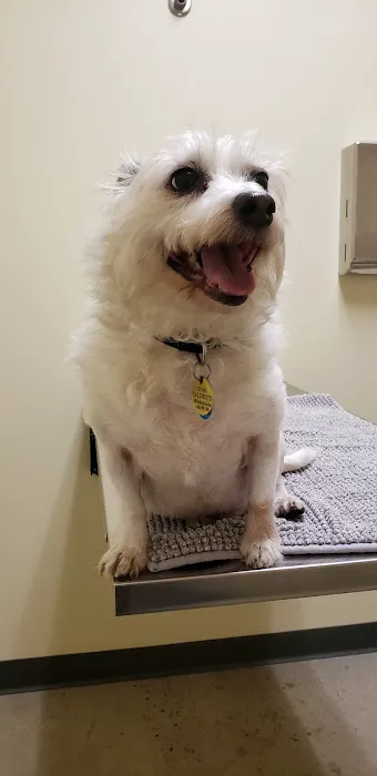 Vetco Total Care Animal Hospital Picture 7