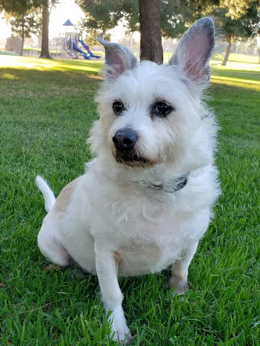 Vetco Total Care Animal Hospital Picture 9