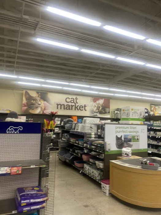 Vetco Total Care Animal Hospital Picture 6