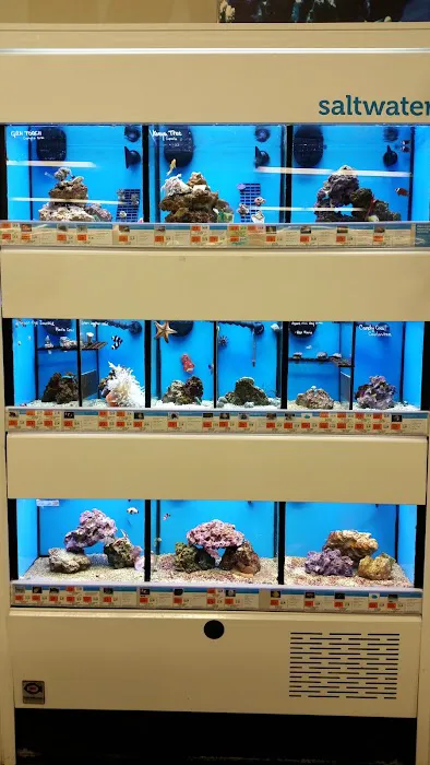Petco Picture 8