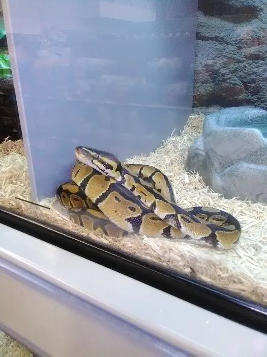 Petco Picture 1