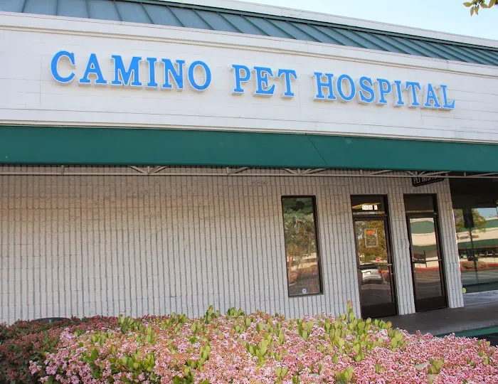 Camino Pet Hospital Picture 10