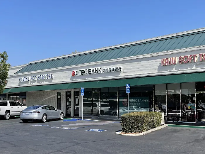 Camino Pet Hospital Picture 7