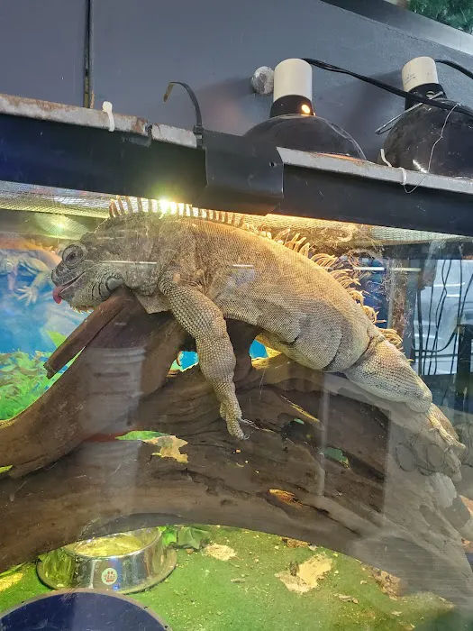 Value Pet Center Picture 1