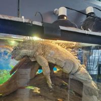 Value Pet Center ico