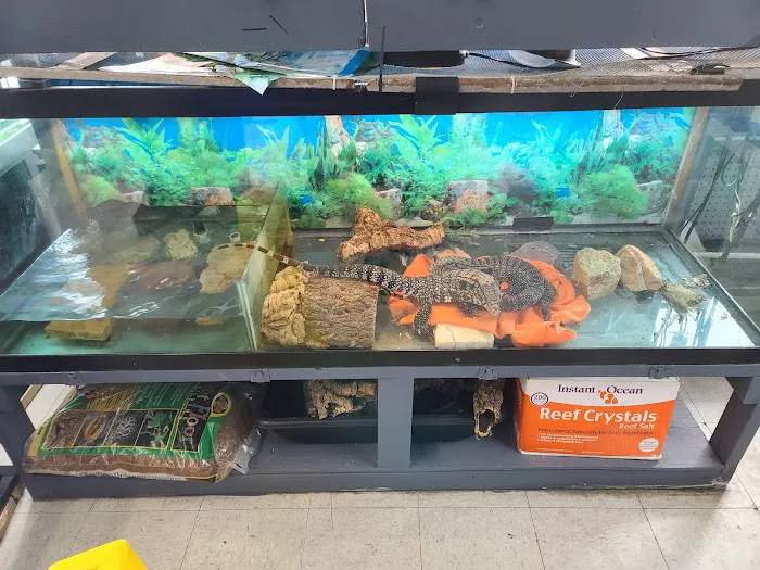 Value Pet Center Picture 4