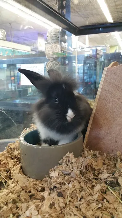Value Pet Center Picture 7
