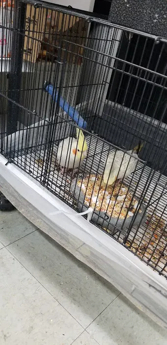Value Pet Center Picture 3