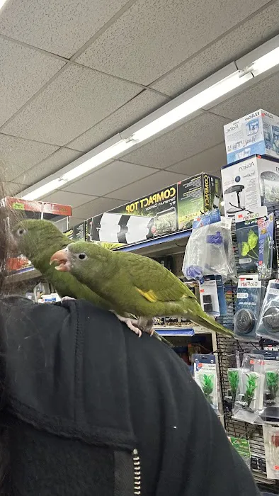 Value Pet Center Picture 5