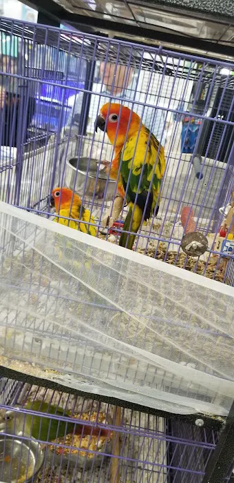 Value Pet Center Picture 8
