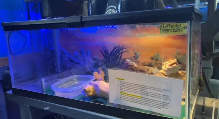 Value Pet Center Picture 6