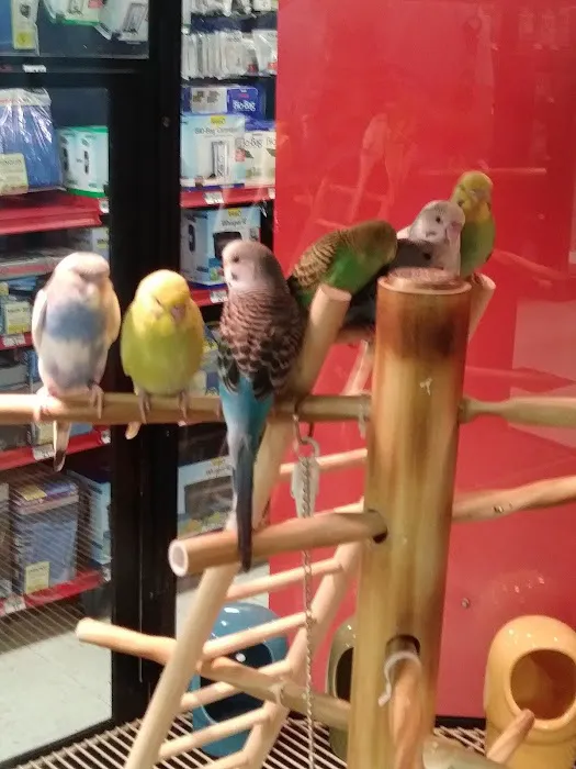 Petco Picture 9