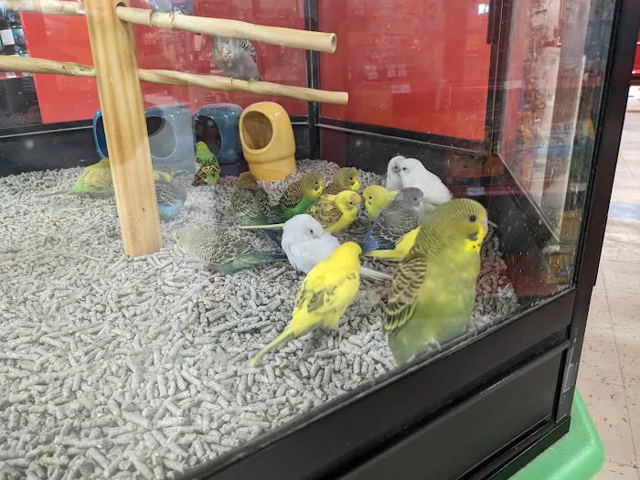 Petco Picture 6