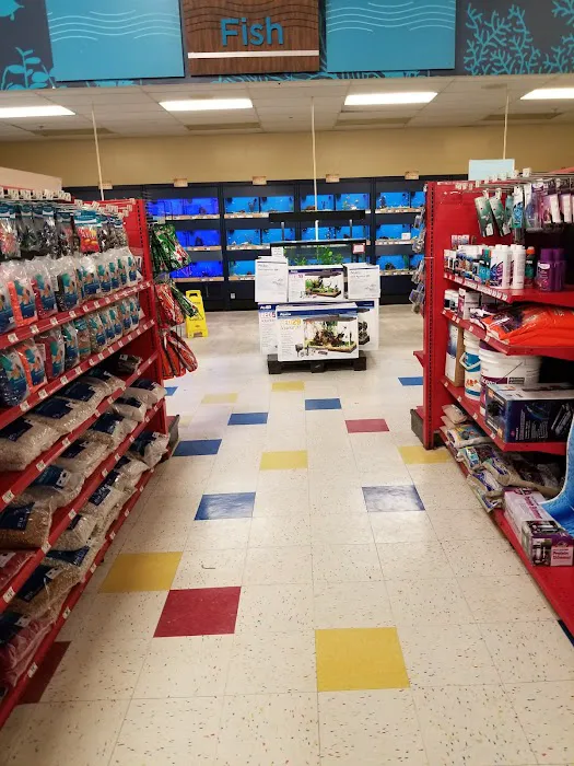 Petco Picture 10