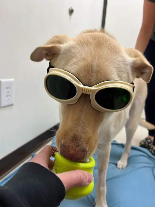 Irvine Valley Veterinary Hospital Picture 6