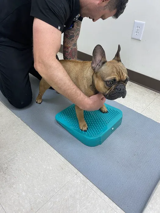 Irvine Valley Veterinary Hospital Picture 3