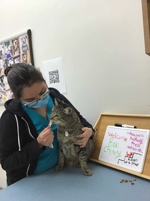 Irvine Valley Veterinary Hospital Picture 5