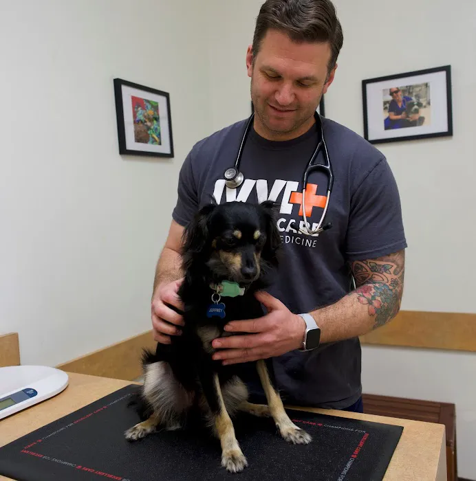 Irvine Valley Veterinary Hospital Picture 4