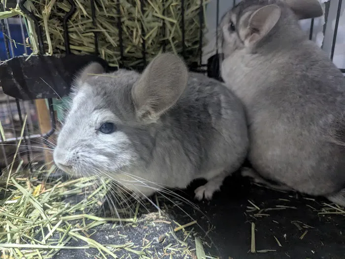 Garden State Pet Center Picture 4