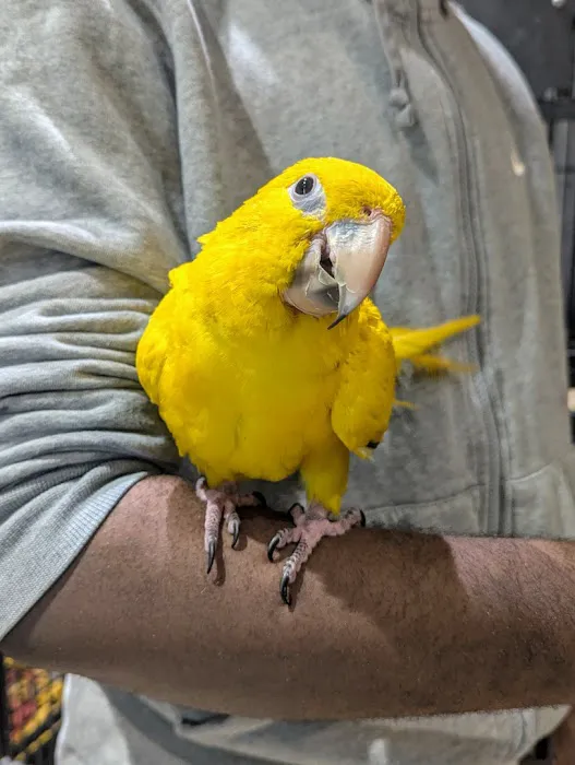 Garden State Pet Center Picture 3