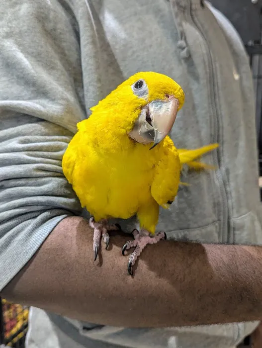 Garden State Pet Center Picture 10