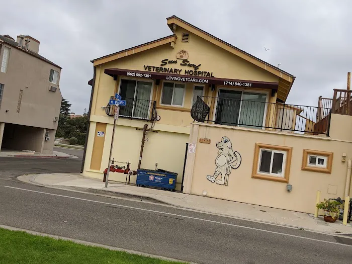 Sun Surf Veterinary Hospital Picture 9