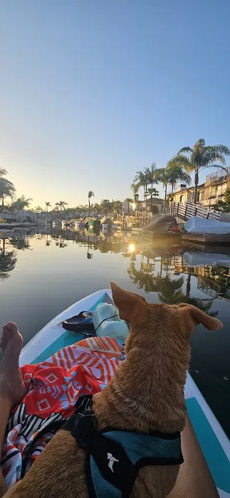 Sun Surf Veterinary Hospital Picture 1