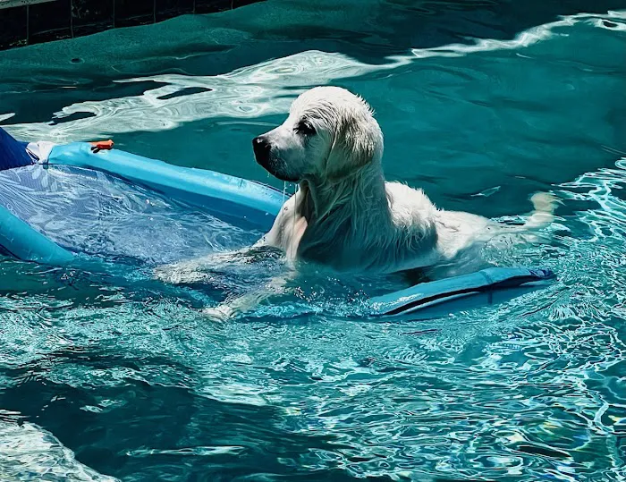 Sun Surf Veterinary Hospital Picture 5