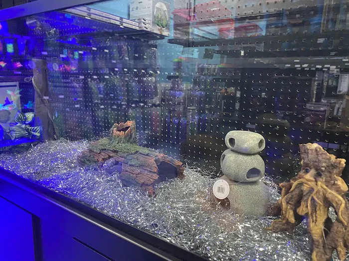 Aquarium Center Picture 4
