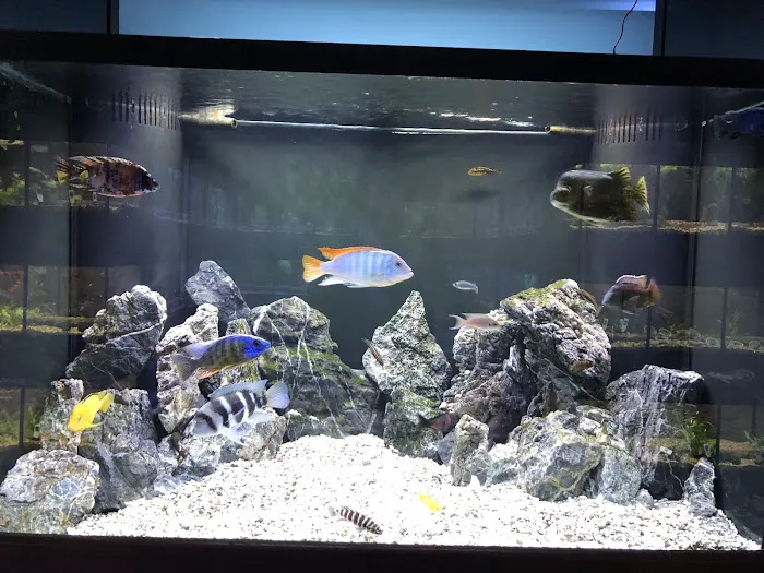 Aquarium Center Picture 10