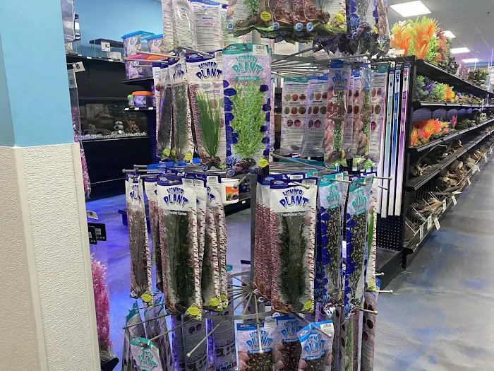 Aquarium Center Picture 2