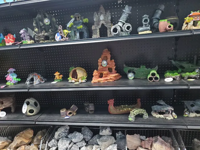 Aquarium Center Picture 6