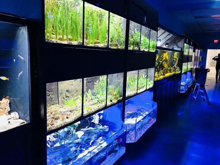 Aquarium Center Picture 5