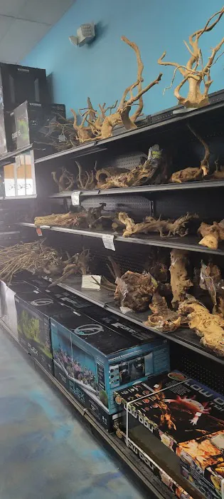 Aquarium Center Picture 3