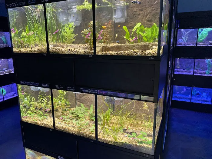 Aquarium Center Picture 8